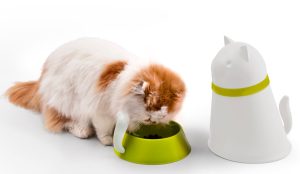 Zásobník na granule Kitt je ideálnym riešením na uskladnenie potravy pre vašich domácich miláčikov. Je z troch dielov a zložený vyzerá ako mačka.